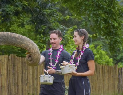 Baothong Elephent Home (20)