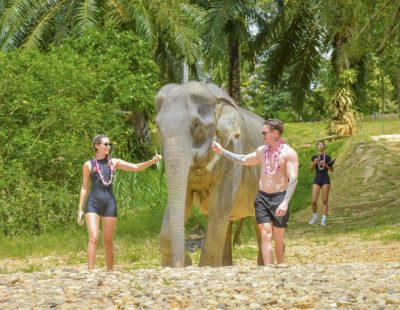 Baothong Elephent Home (47)