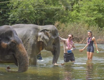 Baothong Elephent Home (56)