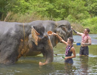 Baothong Elephent Home (60)