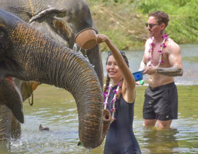 Baothong Elephent Home (63)