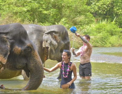 Baothong Elephent Home (66)