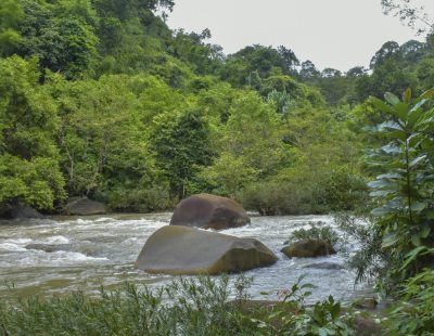 Hiking Khaosok National Park (59)