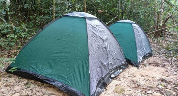 LINE_ALBUM_Khao Sok Jungle Camping 3-4 Jan_250107_13