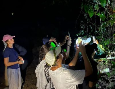 nightsafari2