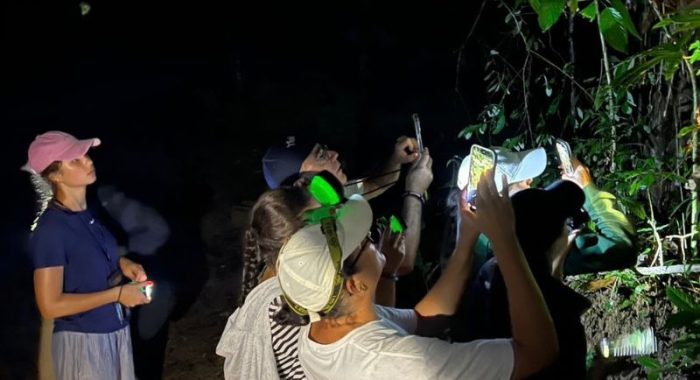 nightsafari2