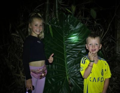 nightsafari3